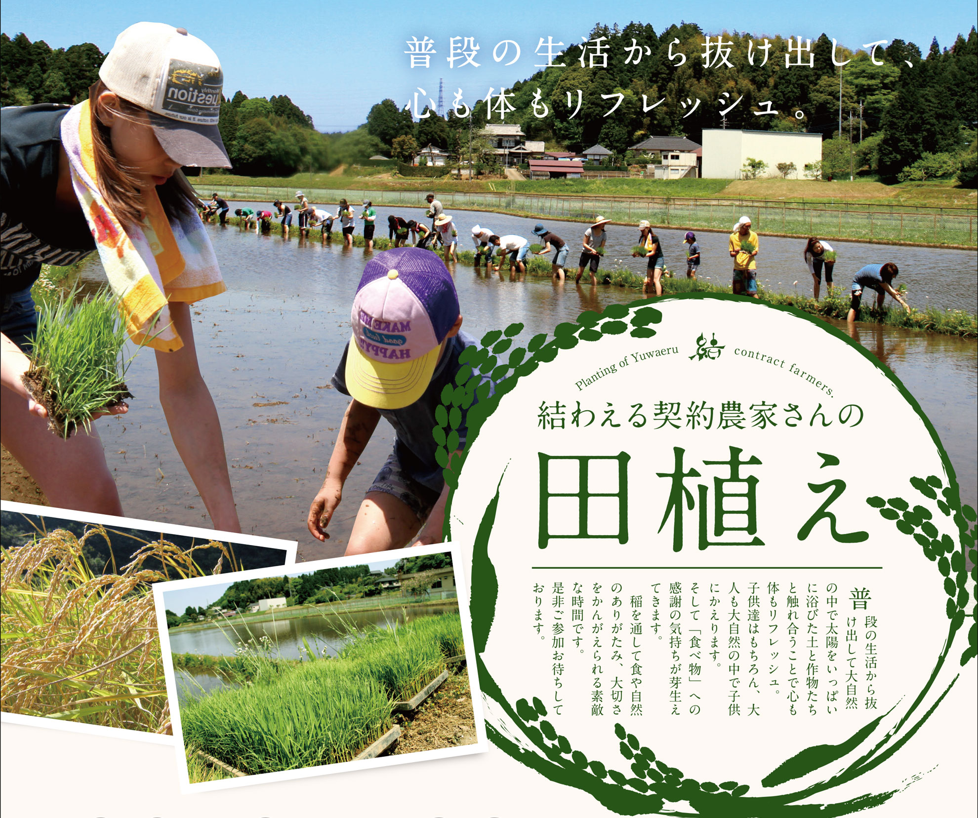 2016年 5月契約農家さんと田植え体験