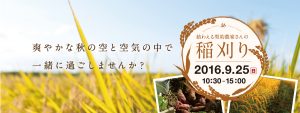 契約農家さんの稲刈り