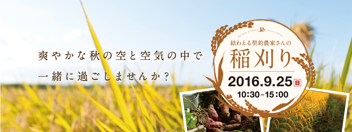 契約農家さんの稲刈り