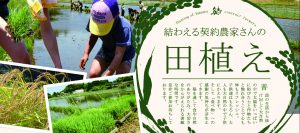 ＼100名様限定！／2019年 結わえる契約農家さんと田植え体験！