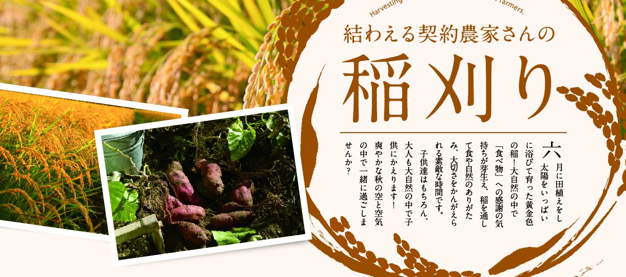 2017年結わえる契約農家さん稲刈り&野菜収穫イベント → 満員御礼!締め切りました。