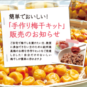 ご自宅で漬けたい方へ！「紀州南高梅」限定販売のお知らせ