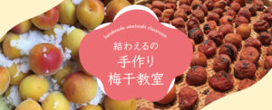 2023年6月開催！簡単！手作り梅干教室- 満員御礼締め切りました！